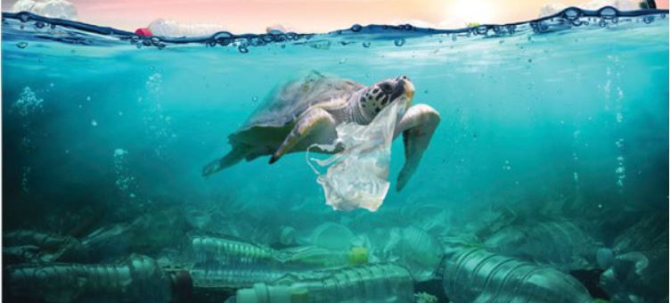 Major Distributors Take a Cue to Curb Plastic Pollution